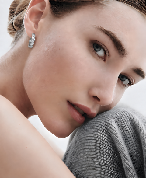 ER433W B.Tiff Pave 20-Stone Stainless Steel Hoop Earrings