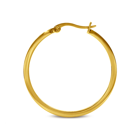 ER312G B.Tiff Pave 42-Stone Classic Gold Plated Stainless Steel Medium Hoop Earrings