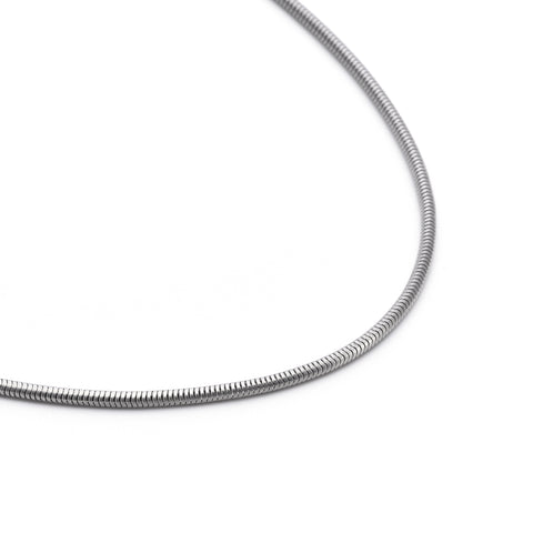 C060W B.Tiff Thick Stainless Steel Coil Chain Necklace